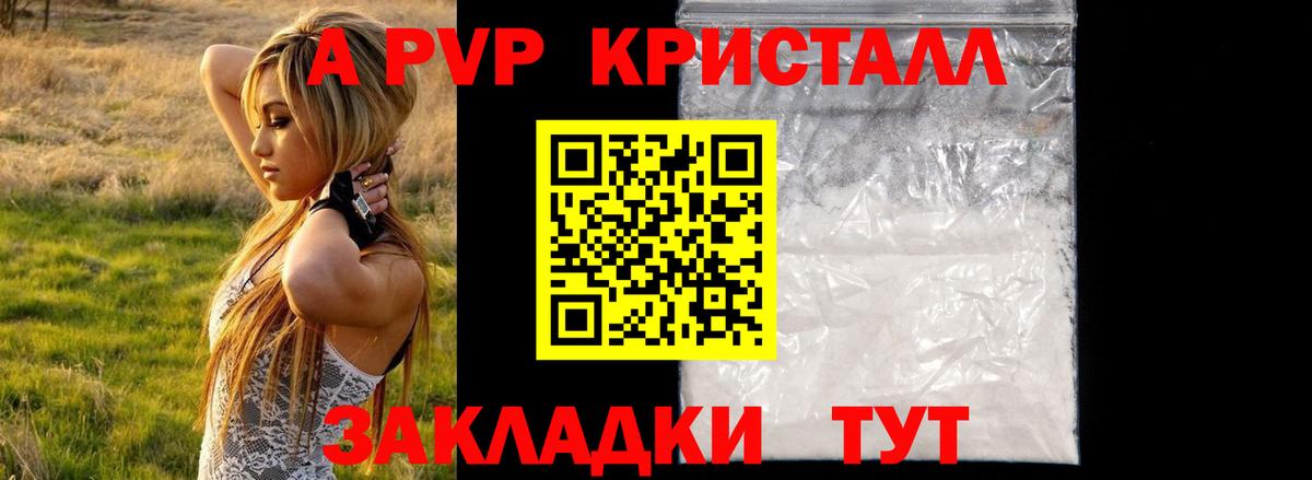 A PVP СК КРИС Кольчугино