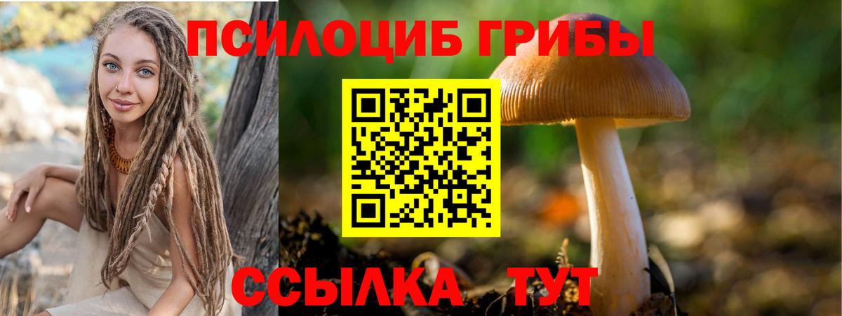 что такое наркотик  Галлюциногенные грибы MAGIC MUSHROOMS  Вход с VPN  Кольчугино 